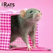 Calendrier Mural 2025 Nacs Rongeurs Rats