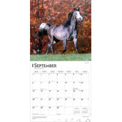 Calendrier Papier 2026 Amoureux des Chevaux Lovers
