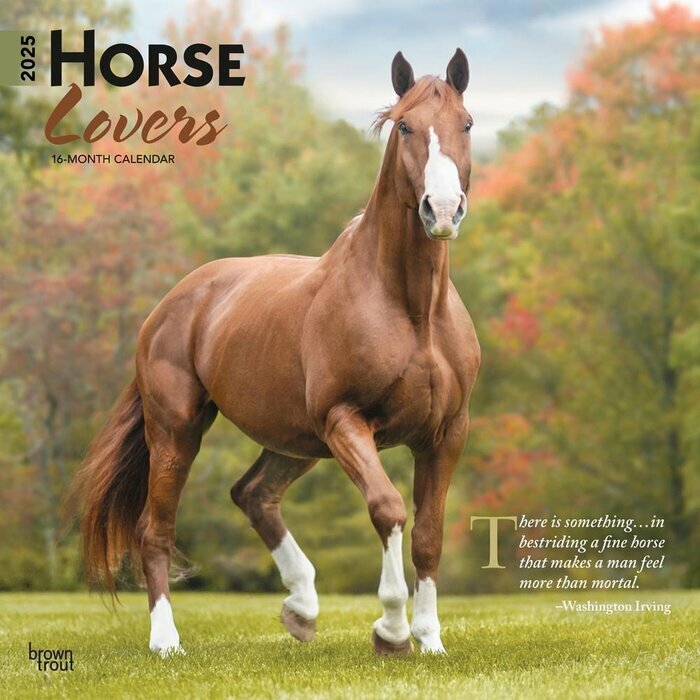 Calendrier Mural 2025 Amoureux des Chevaux Lovers