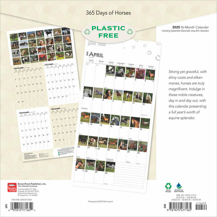 Calendrier papier  2025 Chevaux 365 photos 