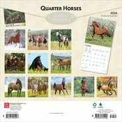 Calendrier 2026 Chevaux Race Quarter