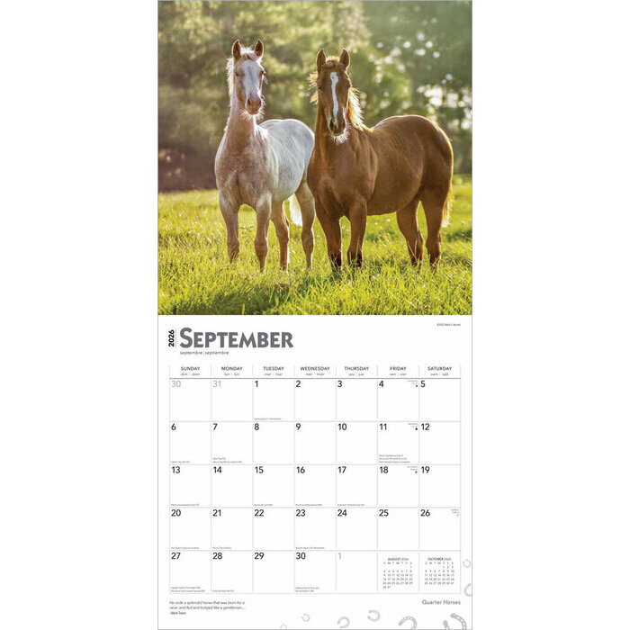 Calendrier Papier 2026 Chevaux Race Quarter