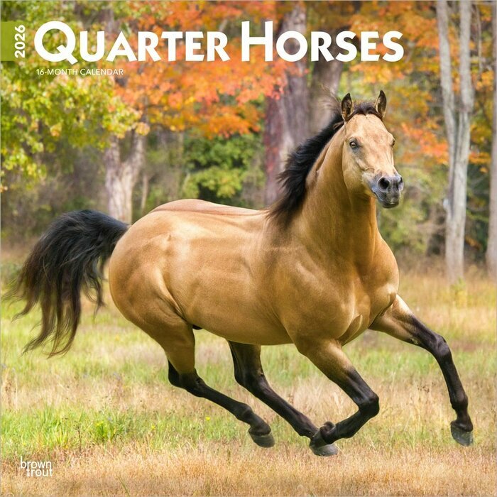 Calendrier Mural 2026 Chevaux Race Quarter