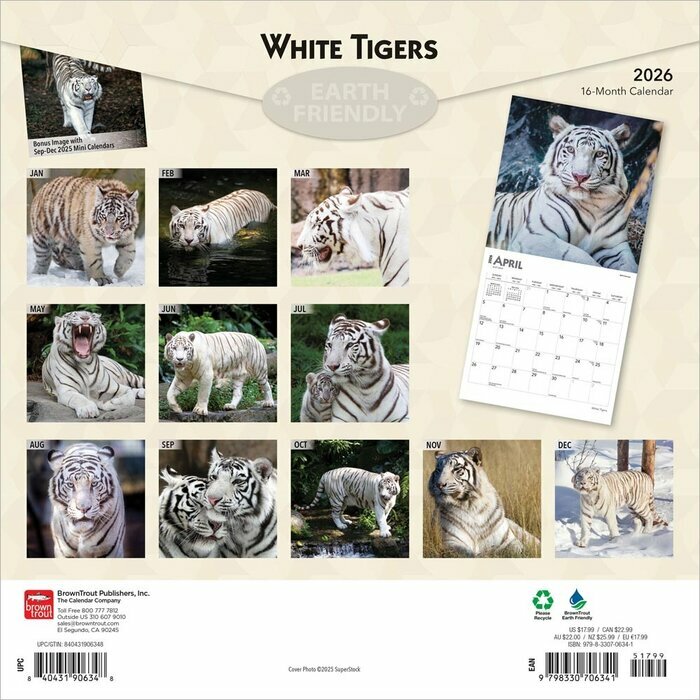 Calendrier 2026 Tigres Blancs Royaux