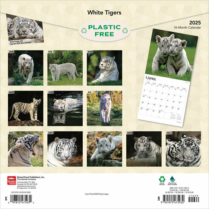 Calendrier Papier 2025 Tigres Blancs Royaux