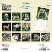 Calendrier Papier 2025 Tigres Blancs Royaux