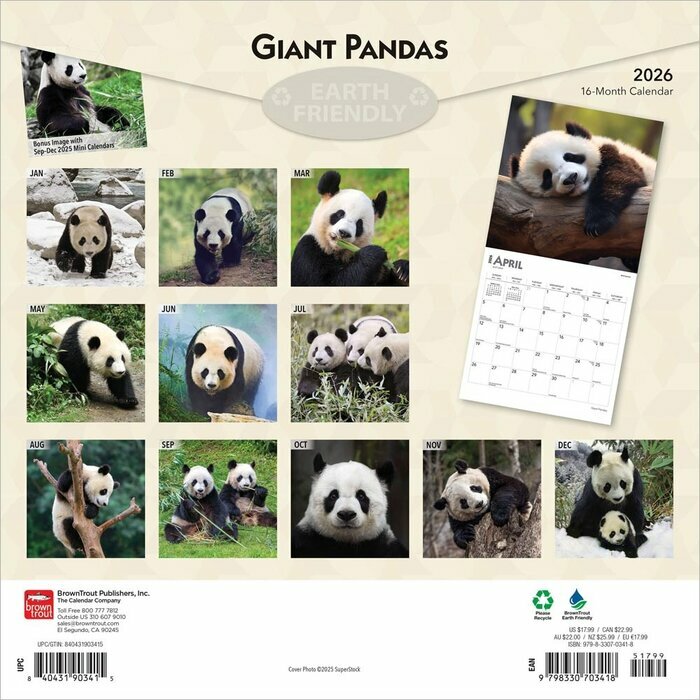 Calendrier Papier  2025 Pandas Gants