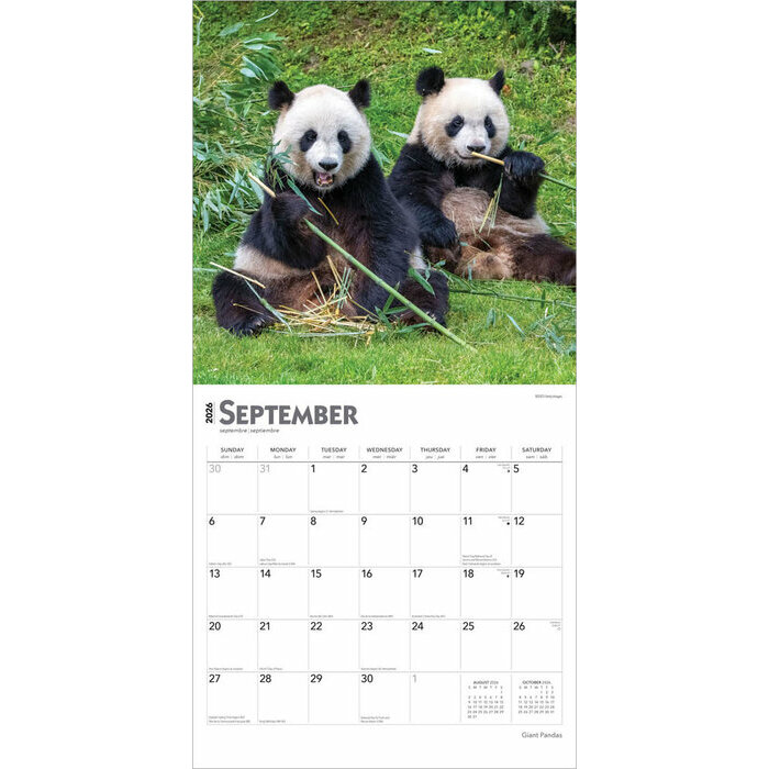 Calendrier 2025 Pandas Gants