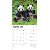 Calendrier 2025 Pandas Gants