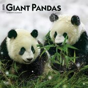 Calendrier Mural 2025 Pandas Géants