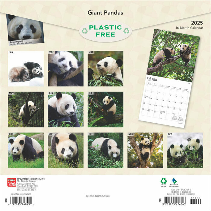 Calendrier Papier 2025 Pandas Géants