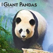 Calendrier Mural 2025 Pandas Gants