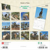 Calendrier Papier  2025 Chvres Acrobates dans les Arbres