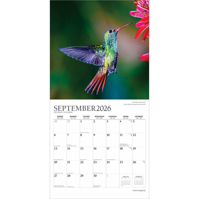 Calendrier Papier 2026 Oiseaux Colibris
