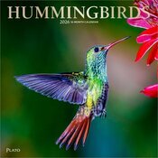 Calendrier Mural 2026 Oiseaux Colibris