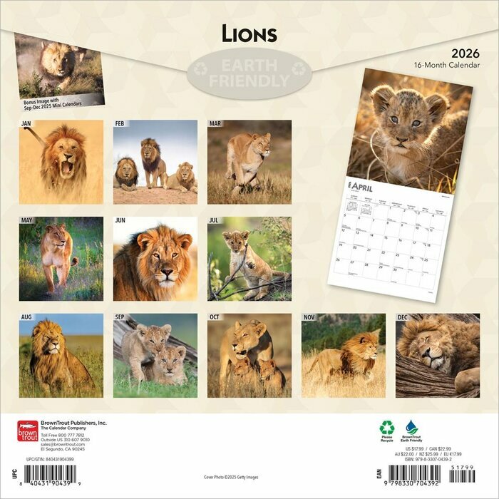 Calendrier 2026 Lions Lionnes