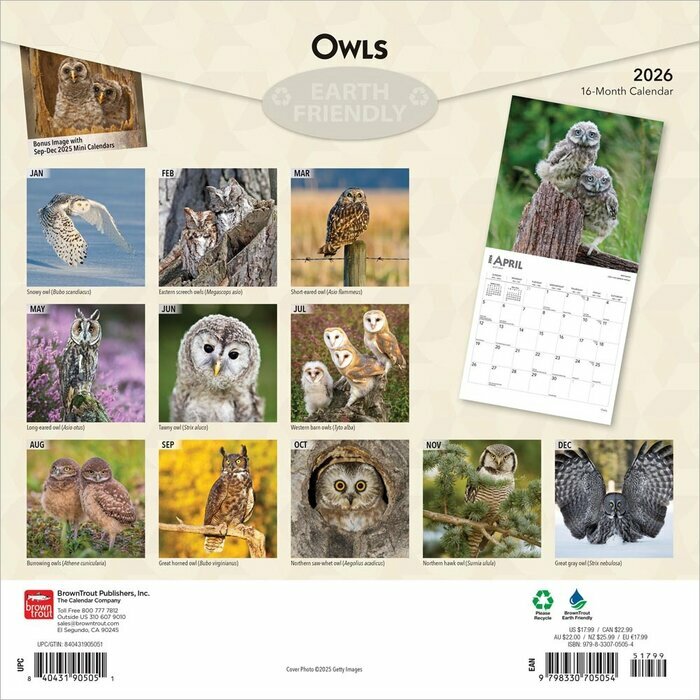 Calendrier 2026 Chouettes de nos Forêts