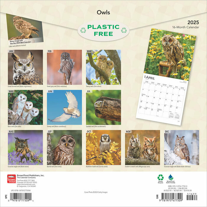 Calendrier Papier 2025 Chouettes de nos Forêts