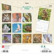 Calendrier Papier 2025 Chouettes de nos Forêts