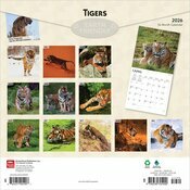 Calendrier papier 2025 Les plus Grand Flins Tigres
