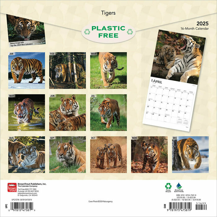 Calendrier papier 2025 Les plus Grand Félins Tigres