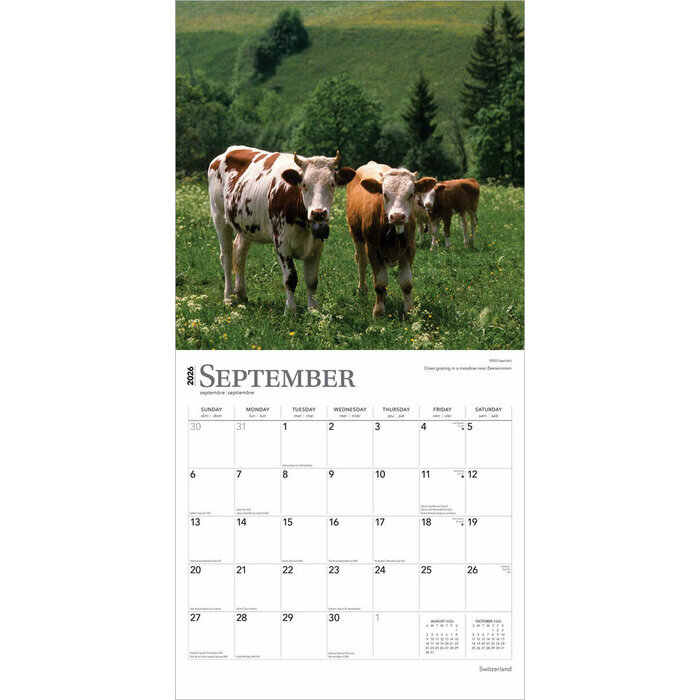 Calendrier 2025 Suisse Paysages Berne