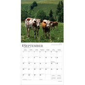 Calendrier 2025 Suisse Paysages Berne