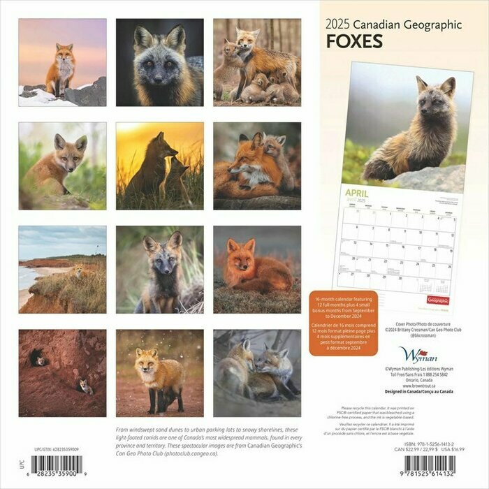 Calendrier Papier  2025 Renards de nos Forêts