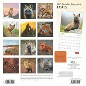Calendrier Papier  2025 Renards de nos Forêts