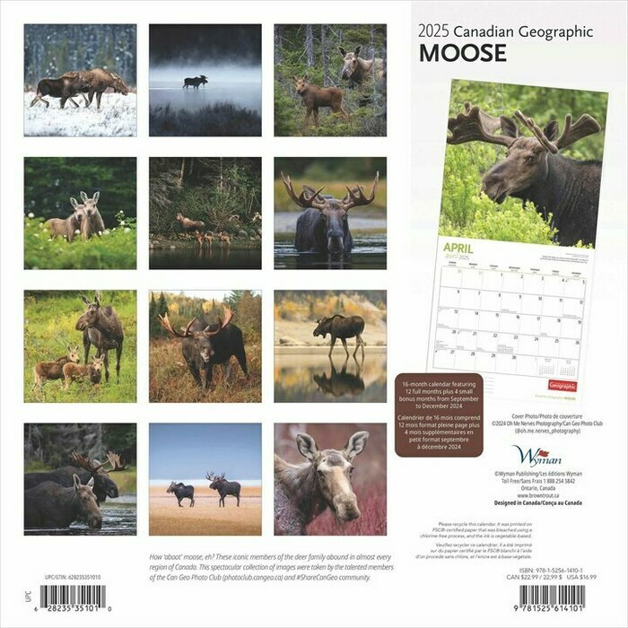 Calendrier Papier 2025 Elan Moose des Forts