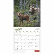 Calendrier 2025 Elan Moose des Forts
