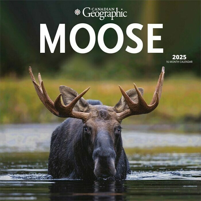 Calendrier Mural 2025 Elan Moose des Forts