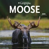Calendrier Mural 2025 Elan Moose des Forts