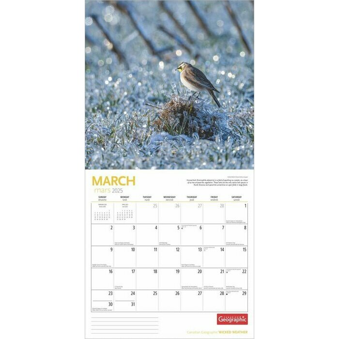 Calendrier 2025 Mto et Mauvais Temps