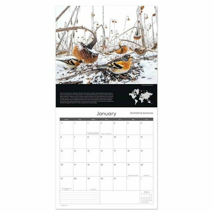 Calendrier Papier 2025 Photographies Nature et Animaux de L'Anne