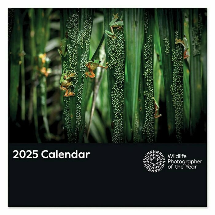 Calendrier Mural 2025 Photographies Nature et Animaux de L'Anne