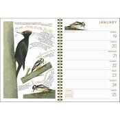 Agenda papier Nature Oiseaux Marjolein Bastin 2026 papier