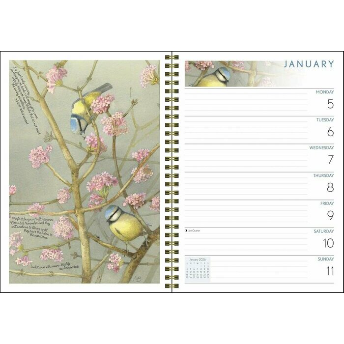 Agenda Nature Oiseaux Marjolein Bastin 2026 mural