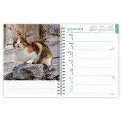 Agenda Mural 2026 Spirale Amoureux des Chats