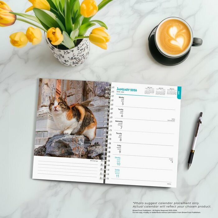 Agenda papier 2026 Spirale Amoureux des Chats