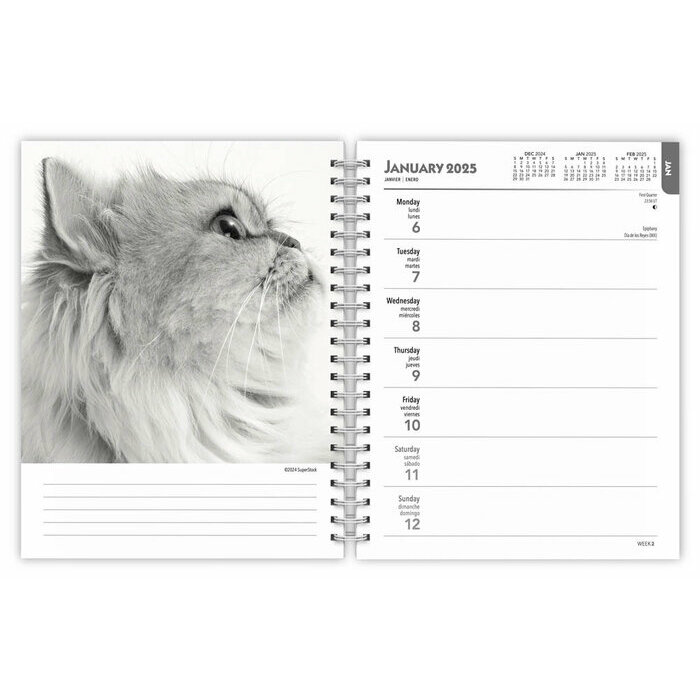 Agenda 2025  Portraits Chats Noir et Blanc