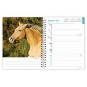 Agenda 2025 Spirale Chevaux
