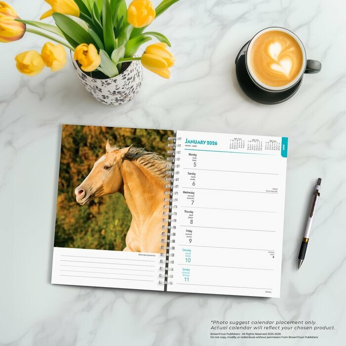 Agenda 2025 Spirale Amoureux des Chevaux