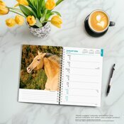 Agenda 2025 Spirale Amoureux des Chevaux