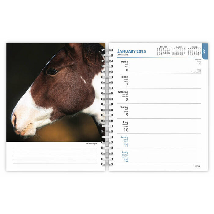 Agenda 2025 Spirale Chevaux