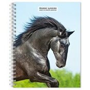 Agenda Papier 2025 Spirale Amoureux des Chevaux
