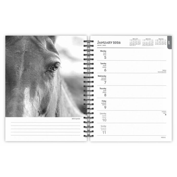Agenda 2026 Spirale Portraits Noir et Blanc Chevaux