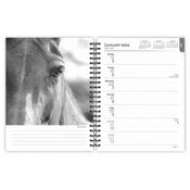 Agenda 2026 Spirale Portraits Noir et Blanc Chevaux