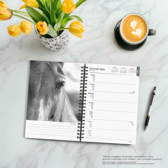 Agenda Papier 2026 Portraits Noir et Blanc Chevaux