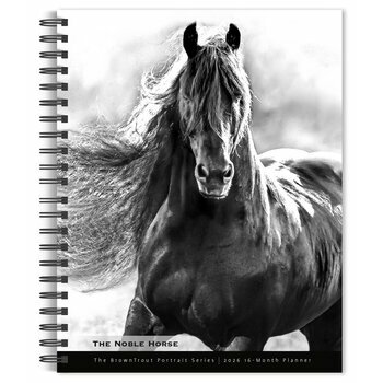 Agenda 2026 Carousel Calendars - Format A5 (21x32 Cm Ouvert) - Semainier - Reliure Spirale - Motif Chevaux